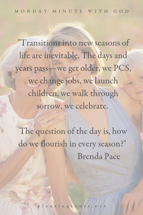 3 Steps to Flourish in Every Life Season Planting Roots Christian